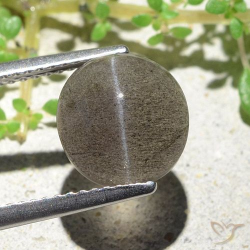 Cat's eye scapolite marrom natural 3,94ct, corte oval, translúcido