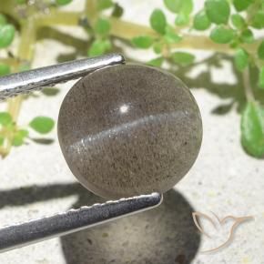 Cat's eye scapolite marrom natural 3,94ct, corte oval, translúcido