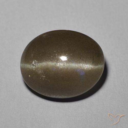 5.81ct Natural Castanho médio Escapolita Olho de Gato, oval, Translúcido