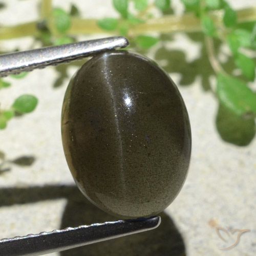 4.70ct Natural Castanho Médio-Claro Escapolita Olho de Gato, oval, Translúcido