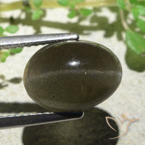 Escapolita Olho de Gato Castanho Médio-Claro Natural 4.70ct, oval, Translúcido