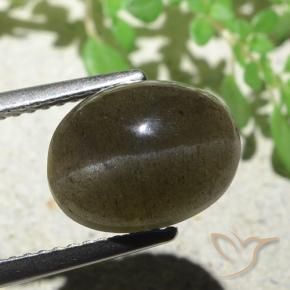 Escapolita Olho de Gato Castanho Médio-Claro Natural 4.97ct, oval, Translúcido
