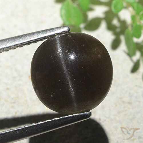 3.87ct Natural Marrom escuro Escapolita Olho de Gato, Redondo, Translúcido