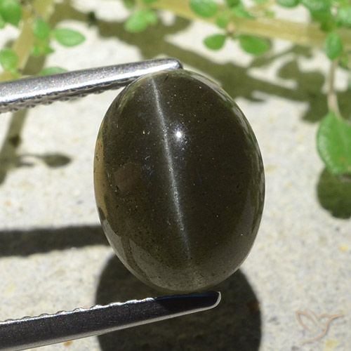 Cat's eye scapolite marrom natural 4,66ct, corte oval, translúcido