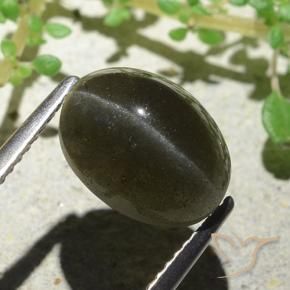 Cat's eye scapolite marrom natural 4,66ct, corte oval, translúcido