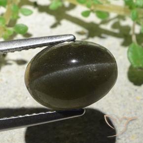 Cat's eye scapolite marrom natural 4,66ct, corte oval, translúcido