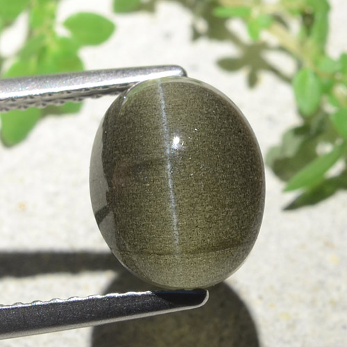 Cat's eye scapolite marrom natural 4,00ct, corte oval, translúcido