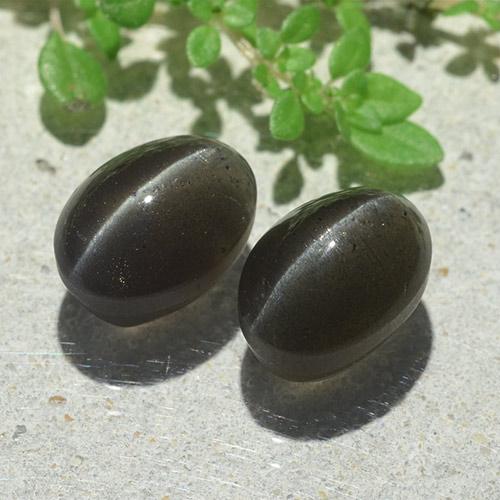 Pedras preciosas de cat's eye scapolite preto natural de 6,12 ct, corte oval, translúcido