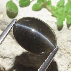 Cat's eye scapolite preto natural 2,56ct, corte oval, translúcido