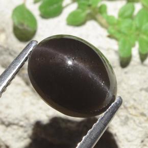 Cat's eye scapolite preto natural 3,42ct, corte oval, translúcido