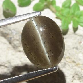 Cat's eye scapolite marrom natural 2,60ct, corte oval, translúcido