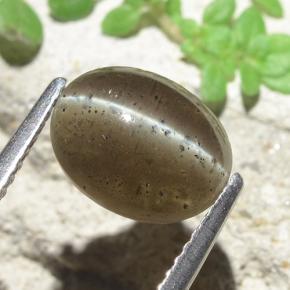 Cat's eye scapolite marrom natural 2,60ct, corte oval, translúcido