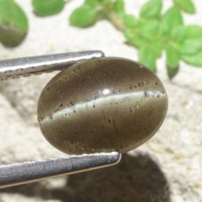 Cat's eye scapolite marrom natural 2,60ct, corte oval, translúcido