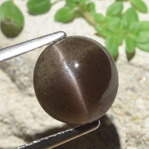 3.45ct Natural Umber Brown Escapolita Olho de Gato, Redondo, Translúcido
