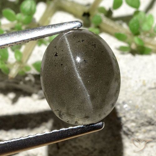 3.81ct Natural Cinza escuro Escapolita Olho de Gato, oval, Translúcido