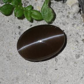 Escapolita Olho de Gato Marrom Natural 2.03ct, Corte Oval, Translúcido