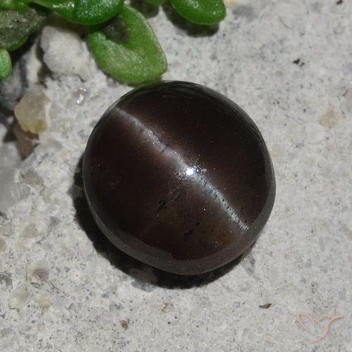 2.10ct Natural Chocolate marrom Escapolita Olho de Gato, Redondo, Translúcido