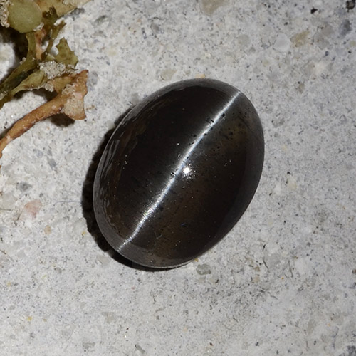 Escapolita Olho de Gato Preto Natural 2.30ct, Corte Oval, Translúcido