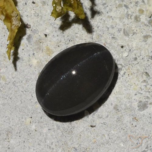 1.48ct Natural Preto Escapolita Olho de Gato, oval, Translúcido