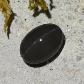 Escapolita Olho de Gato Preto Natural 1.48ct, oval, Translúcido