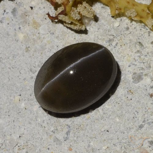 Escapolita Olho de Gato preto quente Natural 1.35ct, Corte Oval, Translúcido