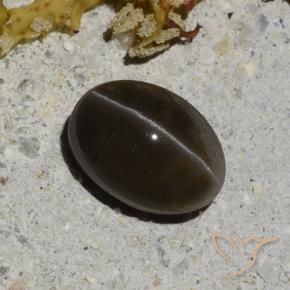 Escapolita Olho de Gato preto quente Natural 1.35ct, Corte Oval, Translúcido