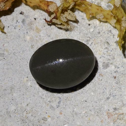 2.09ct Natural Preto acinzentado escuro Escapolita Olho de Gato, oval, Translúcido