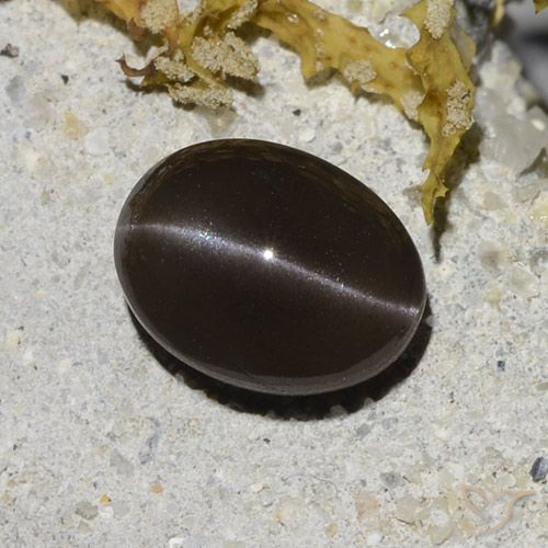2.96ct Natural Marrom Escapolita Olho de Gato, oval, Translúcido