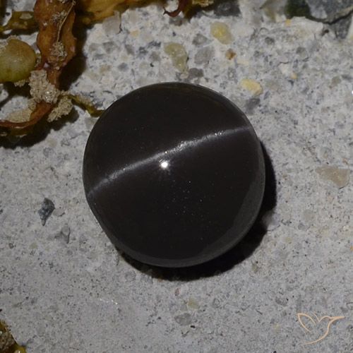 3.08ct Natural Preto Escapolita Olho de Gato, Redondo, Translúcido