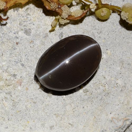 1.81ct Natural Marrom escuro Escapolita Olho de Gato, oval, Translúcido