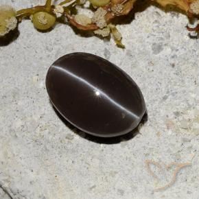 Escapolita Olho de Gato Marrom escuro Natural 1.81ct, oval, Translúcido