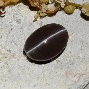 Escapolita Olho de Gato Marrom escuro Natural 1.81ct, oval, Translúcido