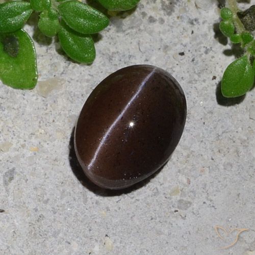 1.23ct Natural Chocolate marrom Escapolita Olho de Gato, oval, Translúcido, Photo A