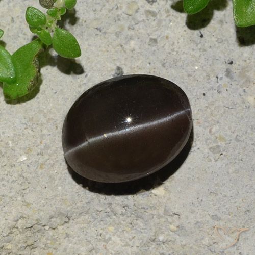 2.43ct Natural Chocolate marrom Escapolita Olho de Gato, oval, Translúcido