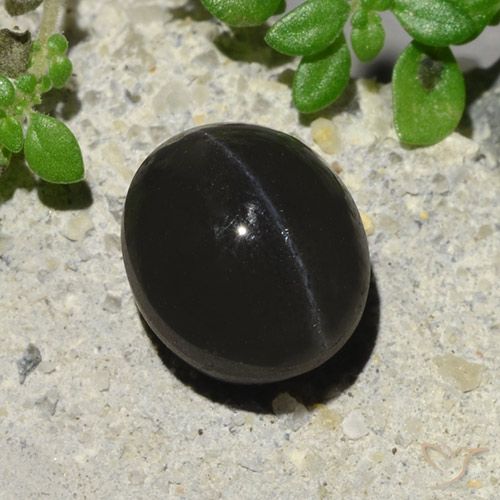 2.94ct Natural Preto Escapolita Olho de Gato, oval, Translúcido