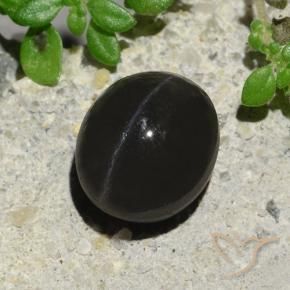 Escapolita Olho de Gato Preto Natural 2.94ct, oval, Translúcido