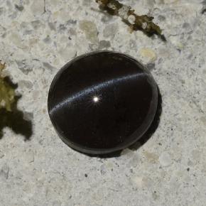 Cat's eye scapolite preto natural 1,14ct, corte oval, translúcido