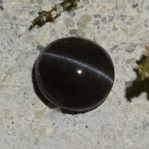Cat's eye scapolite preto natural 1,14ct, corte oval, translúcido