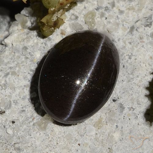 Cat's eye scapolite preto natural 1,47ct, corte oval, translúcido