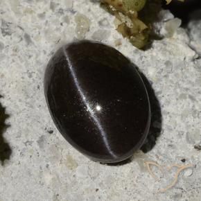 Cat's eye scapolite preto natural 1,47ct, corte oval, translúcido
