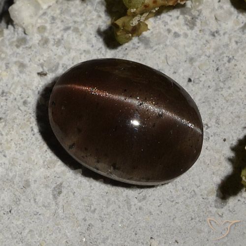 Cat's eye scapolite marrom natural 2,44ct, corte oval, translúcido