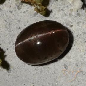Cat's eye scapolite marrom natural 2,44ct, corte oval, translúcido