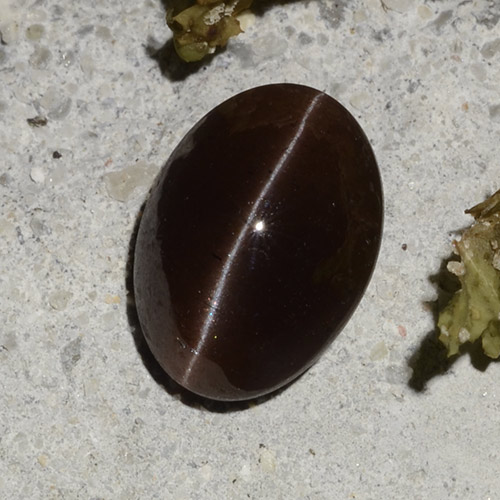 Cat's eye scapolite marrom natural 2,16ct, corte oval, translúcido