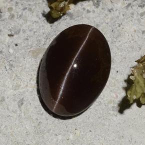 Cat's eye scapolite marrom natural 2,16ct, corte oval, translúcido