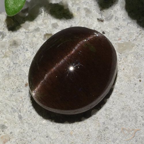 2.04ct Natural Marrom escuro Escapolita Olho de Gato, oval, Translúcido