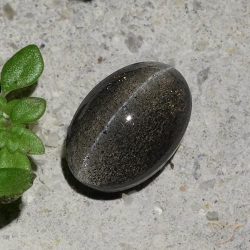 1.48ct Natural Cinza escuro Escapolita Olho de Gato, oval, Translúcido