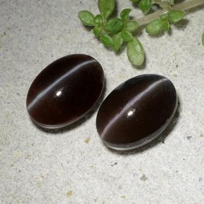 Pedras preciosas de cat's eye scapolite marrom natural de 2,53 ct, corte oval, translúcido