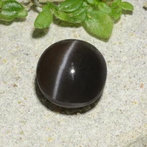 Escapolita Olho de Gato Marrom Natural 1.96ct, Corte Redondo, Translúcido