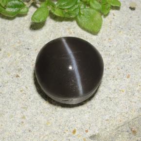 Cat's eye scapolite preto natural 2,49ct, corte redondo, translúcido