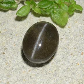 Cat's eye scapolite preto natural 1,46ct, corte oval, translúcido